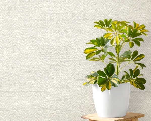 کاغذ دیواری کربن 3/carbon3 طرح بافت کرم کد ۱۰۲۷۷