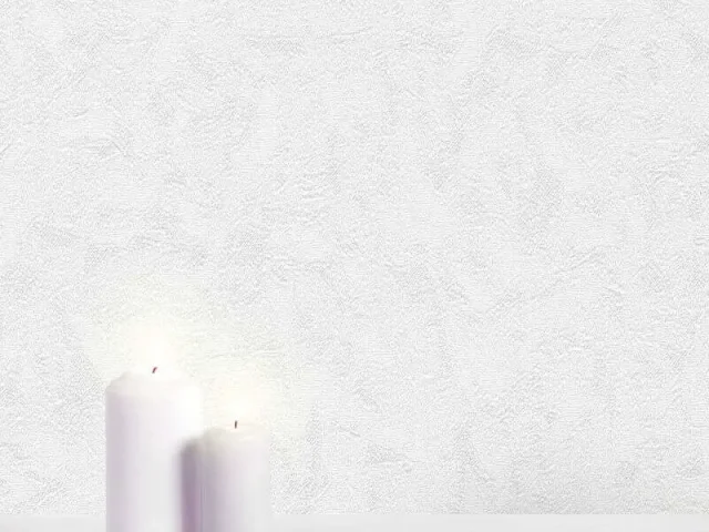 کاغذ دیواری هاش دو او H2O طرح بافت سفید / کد 917W