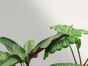 آلبوم کاغذدیواری کربن 1 طرح بافت سفید کد ۱۰۰۹۲