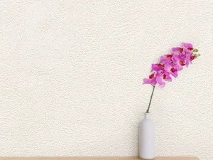 کاغذ دیواری هاش دو او H2O طرح ساده کرم / کد 905C