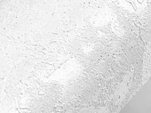 کاغذ دیواری هاش دو او H2O طرح بافت سفید / کد 908W