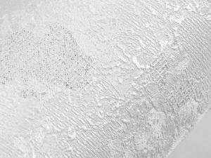 کاغذ دیواری هاش دو او H2O طرح ساده خاکستری / کد 911G