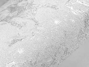 کاغذ دیواری هاش دو او H2O طرح رگه‌دار خاکستری / کد 920G