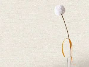 کاغذدیواری هاش دو او H2O طرح بافت کرم کد 923C