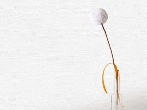 کاغذدیواری هاش دو او H2O طرح جودون سفید کد 923W