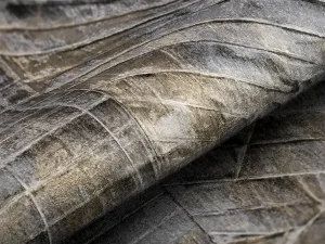 آلبوم کاغذدیواری تیتانیوم / کد 11060 TITANIUM
