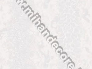آلبوم کاغذ دیواری کوکCOOK کد 3340
