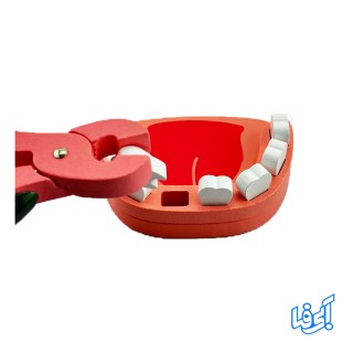 اسباب بازی تجهیزات پزشکی چوبی LECHANG