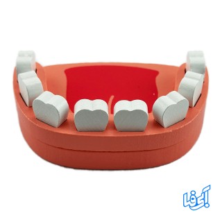 اسباب بازی تجهیزات پزشکی چوبی LECHANG