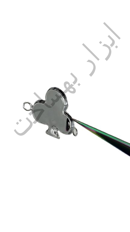 فریم استیل رزین گشنیز