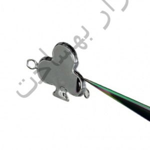 فریم استیل رزین گشنیز