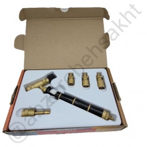 سر پیک برزیلی