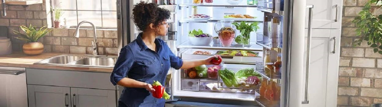 راهنمای جامع یخچال؛ هر آنچه باید درباره خرید، استفاده و نگهداری یخچال بدانید(146)