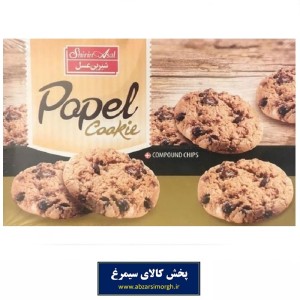 شیرینی کوکی آردی شیرین عسل با طعم نارگیل پاپل 240 گرم جعبه دار