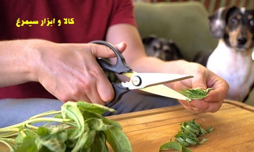 قیچی آشپزخانه و آشپزی - برش سبزیجات