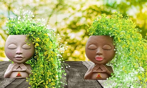 چگونه گلدان گیاه خانگی خود را تعویض کنیم؟