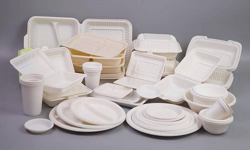ظروف یکبار مصرف disposable containers