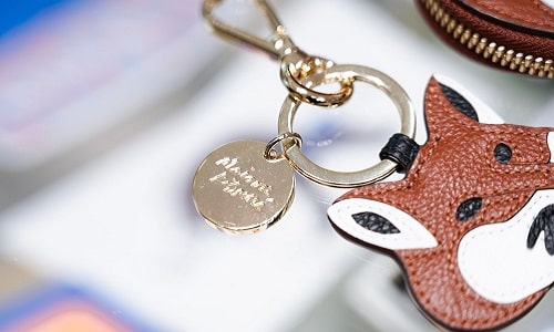 جنس جا کلیدی و جاسوئیچی