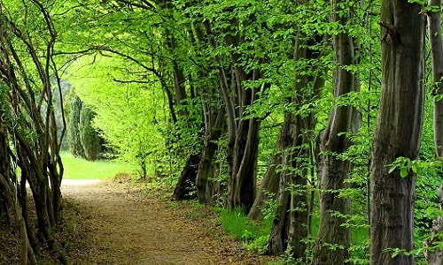نوشهر زیبا