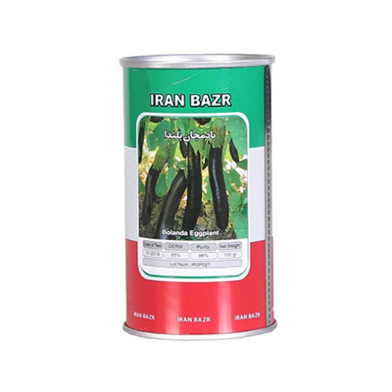بذر بادمجان بلندا ایران بذر