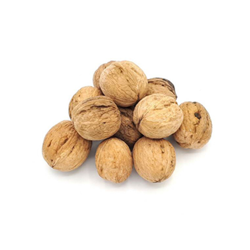 بذر درخت گردو