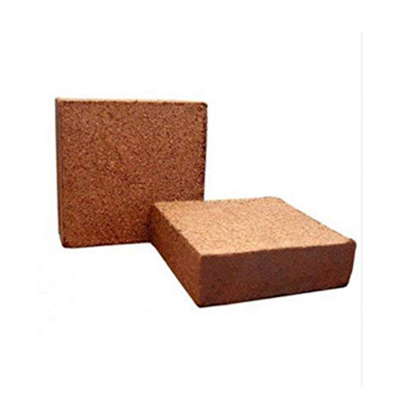 کوکوپیت سریلانکا (قالب ۵ کیلویی)