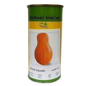بذر کدو حلوایی استاندارد زربذر ایرانیان