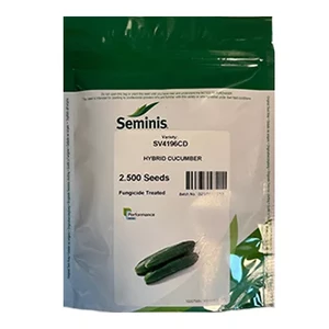 بذر خیار هیبرید SV4196CD سمینیس