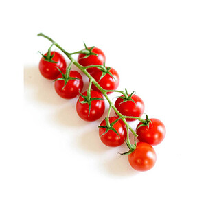 بذر گوجه فرنگی چری هیبرید چساره گاوریش
