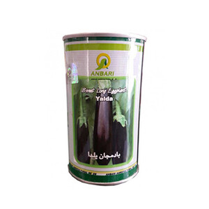 بذر بادمجان استاندارد یلدا