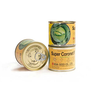 بذر کلم پیچ سبز هیبرید سوپر کورونت Super Coronet F1