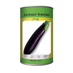 بذر بادمجان استاندارد قلمی ورامینی زربذر ایرانیان