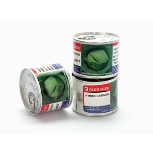 بذر کلم پیچ Green Cornet F1