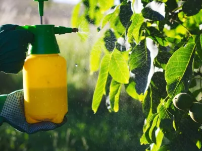 نکات مهم در محلول‌پاشی و کوددهی در تابستان