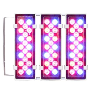 پروژکتور دیواری رشد گیاه 60 وات IP