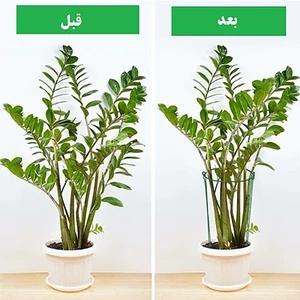 قیم فلزی نگهدارنده گیاه مدل نیم حلقه