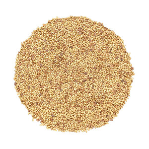 بذر یونجه