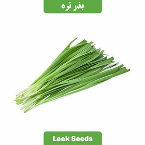 بذر تره