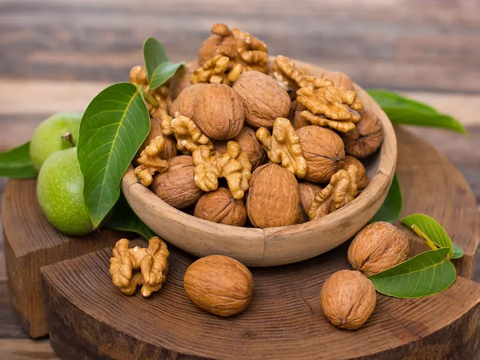 کود سولفات آهن برای گردو