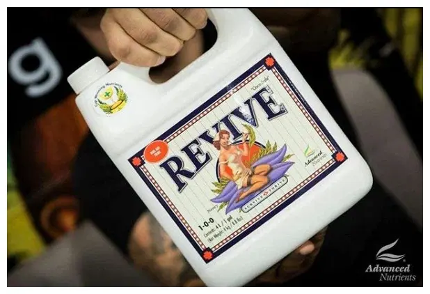 خرید کود ریوایو ادونس