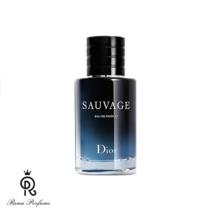 عطر ادکلن مردانه دیور ساواج | Dior Sauvage