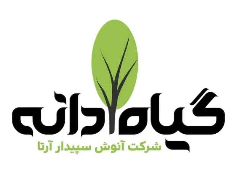 سپیدار