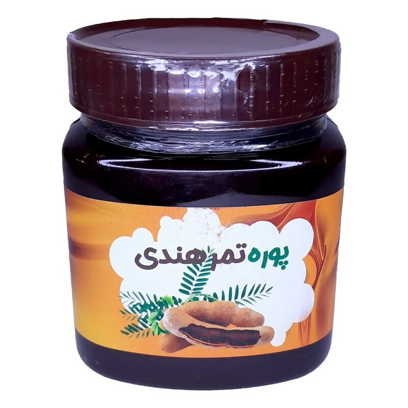 پوره تمر هندی غدیر (480 گرم)