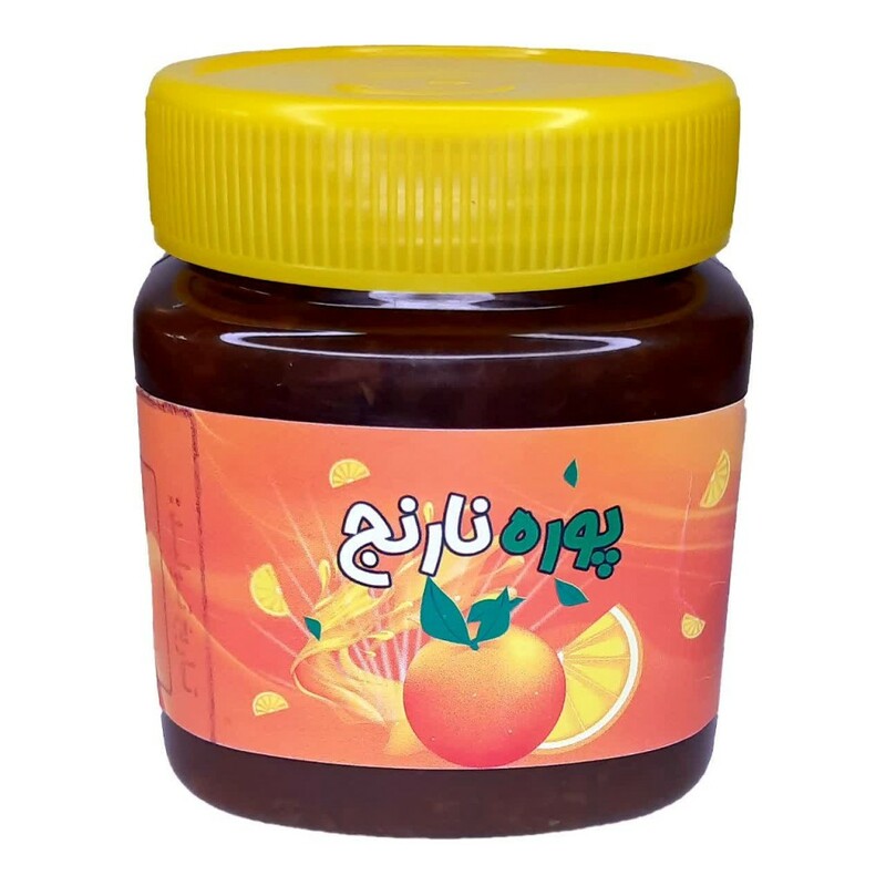 پوره نارنج غدیر (480 گرم)