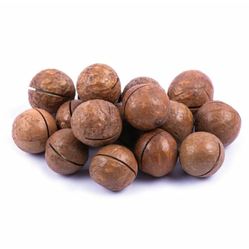 فندق ماکادمیا (500 گرم)