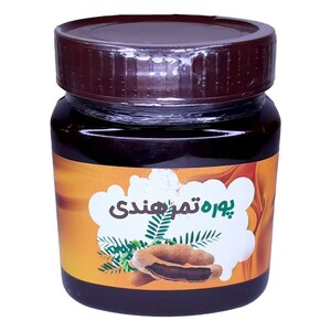پوره تمر هندی غدیر (480 گرم)