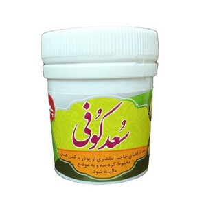 سعد کوفی پودری غدیر