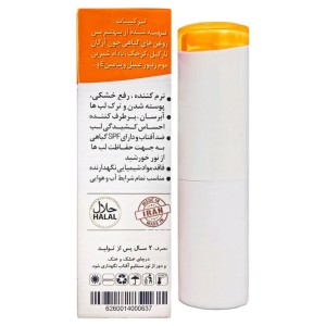 بالم لب نیکا