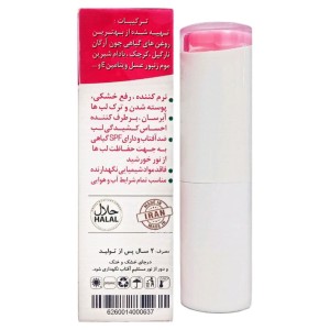 بالم لب نیکا