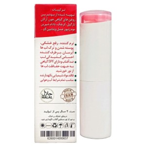 بالم لب نیکا